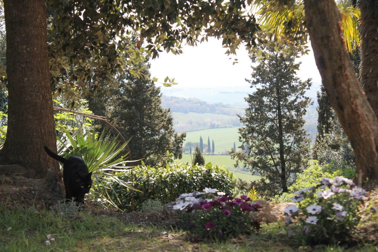 Bb Gli Aristogatti Bed and Breakfast Ghizzano Exteriör bild